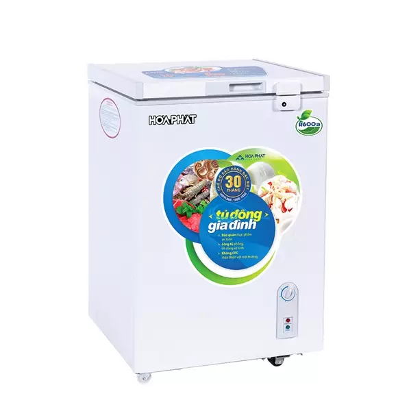 Tủ đông Hoà Phát 100L